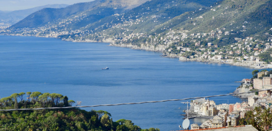 Camogli Sea View