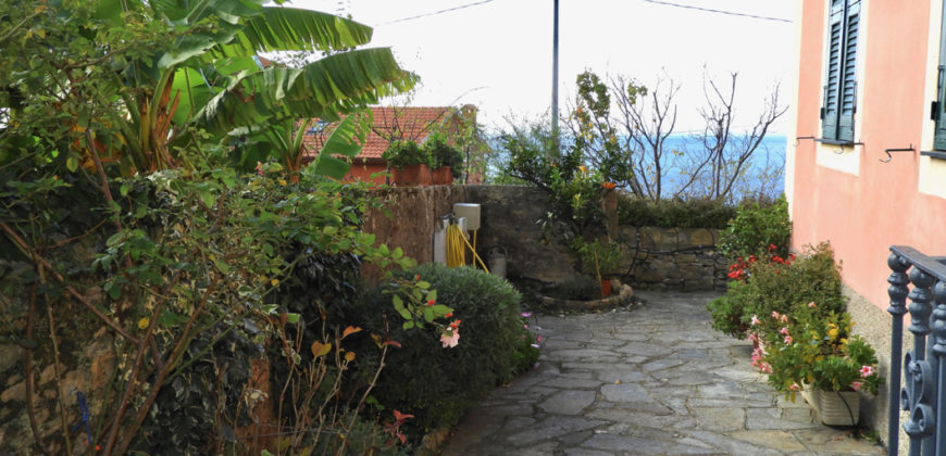Camogli Sea View