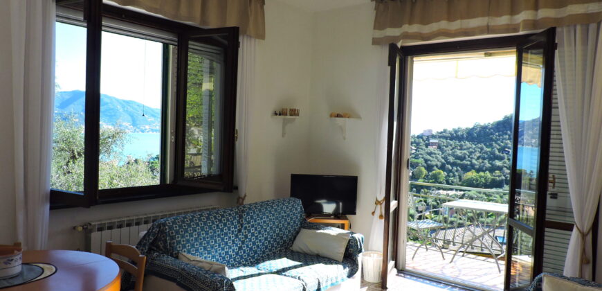 Property to rent