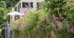 Casa Olivetto