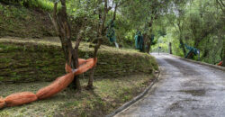 Casa Olivetto