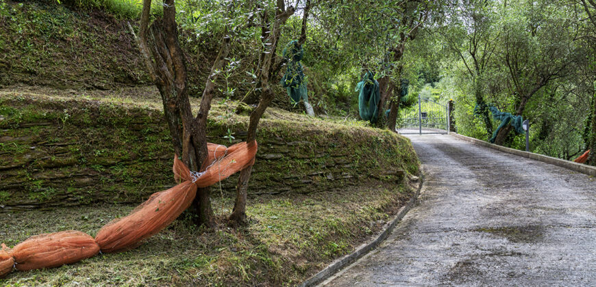 Casa Olivetto