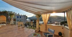 Spacious apartment with large terraces