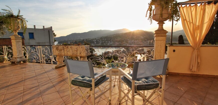Spacious apartment with large terraces