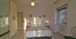 Spacious apartment with large terraces
