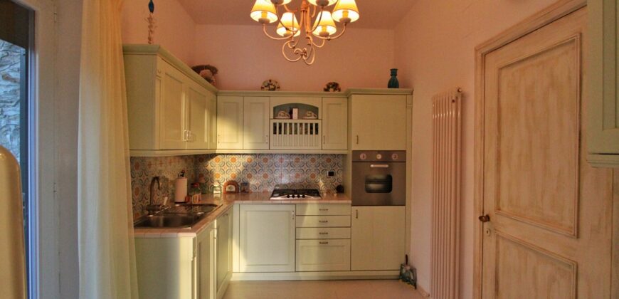 Spacious apartment with large terraces