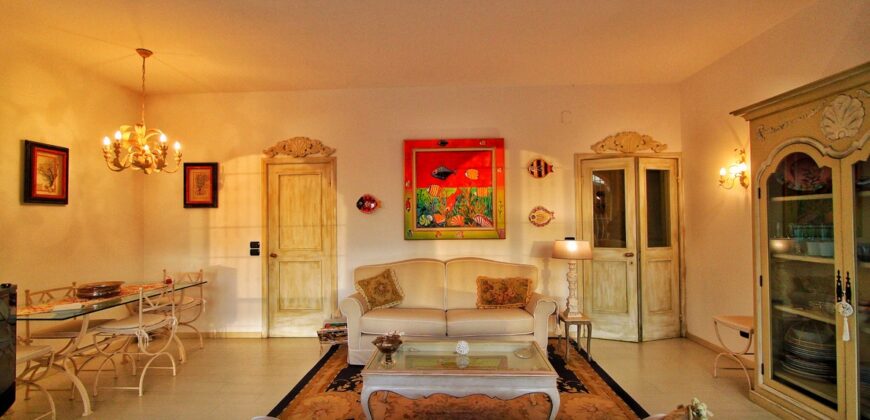 Spacious apartment with large terraces
