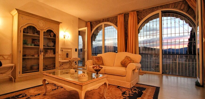 Spacious apartment with large terraces