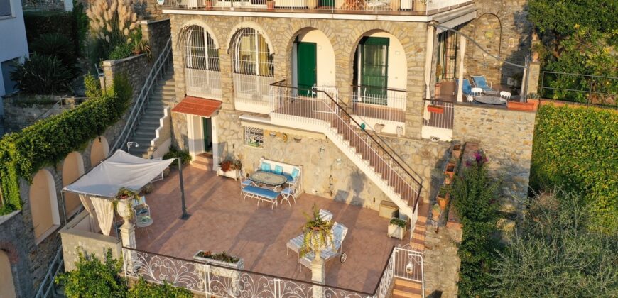Spacious apartment with large terraces