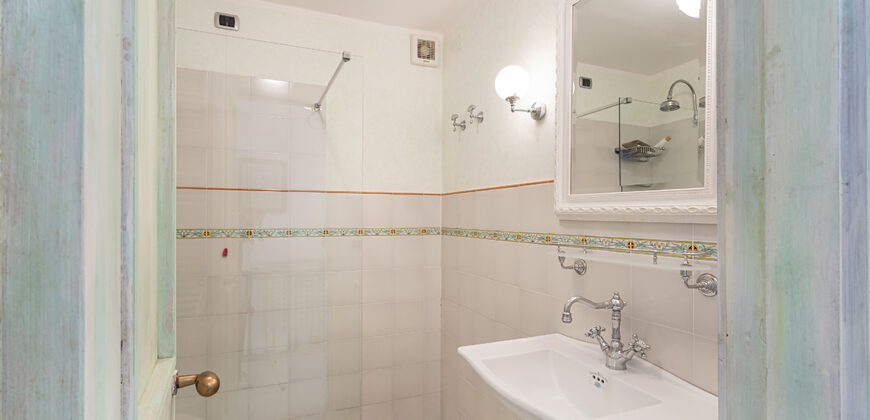 Spacious apartment with large terraces