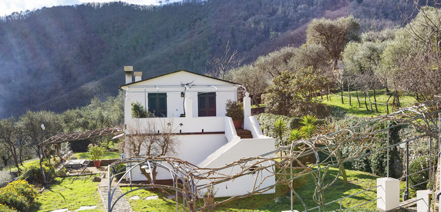 Villa Dolcina