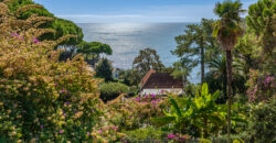 Close to the sea