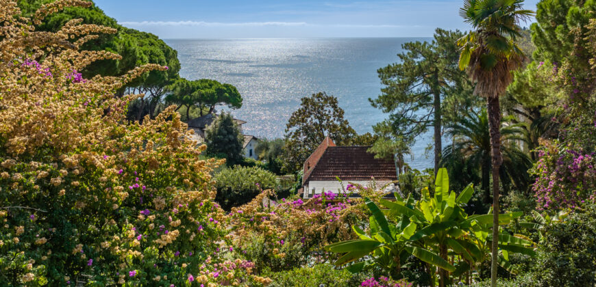 Close to the sea