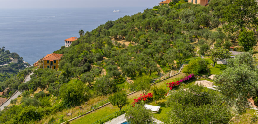 Villa Enrica